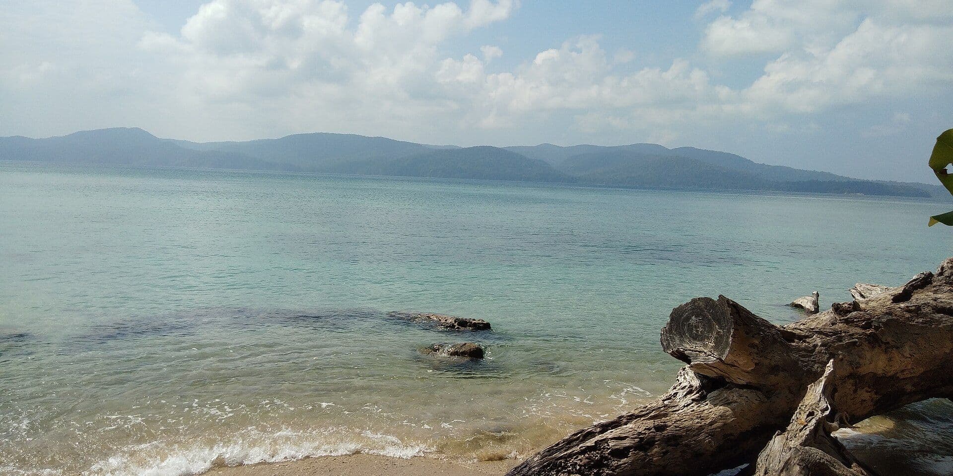 The forested shoreline at Chidiyatapu, South Andaman