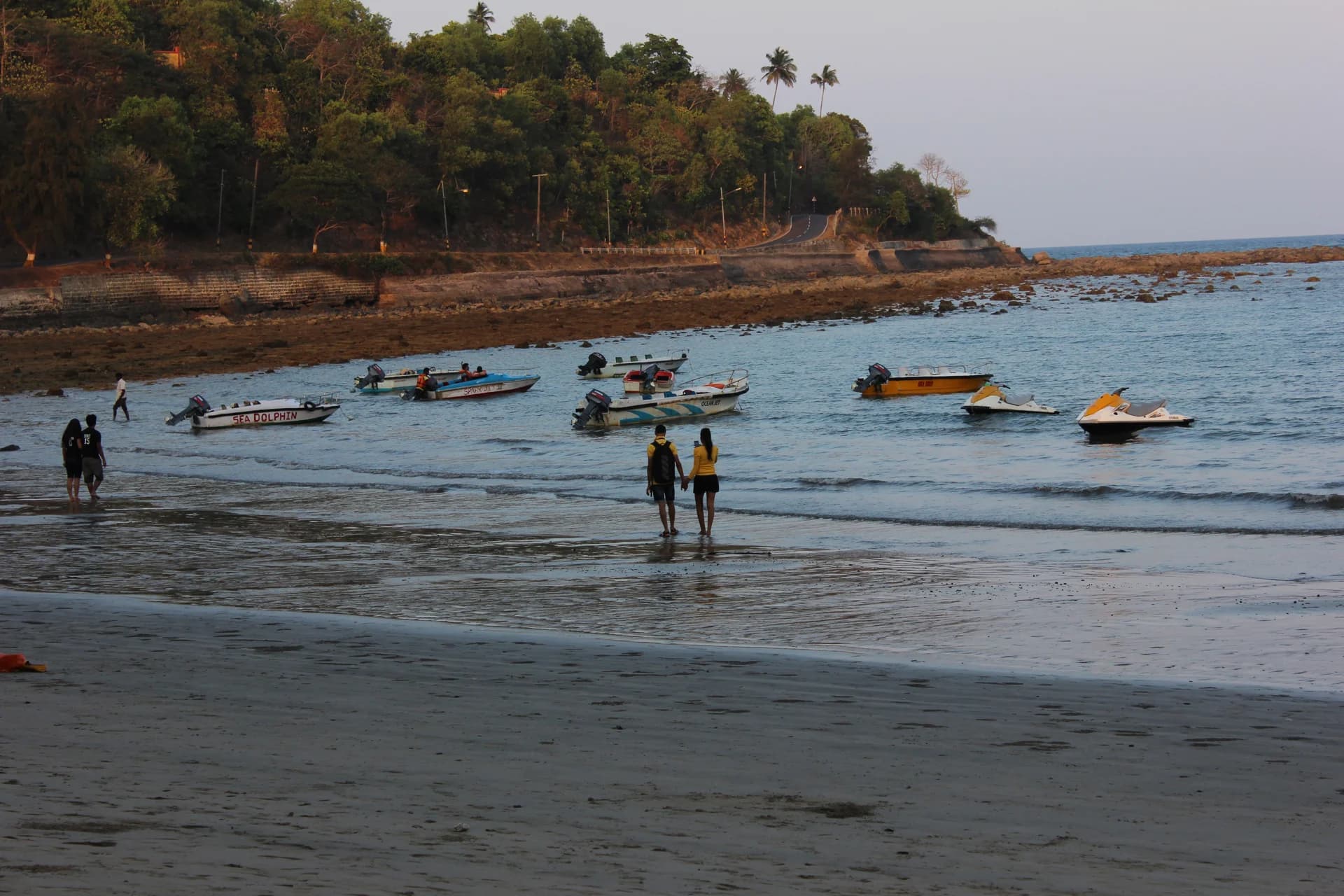 Coconut palms lining the sandy shore of Corbyn’s Cove Beach.